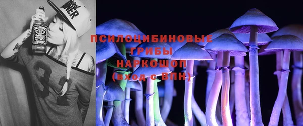 винт Касимов