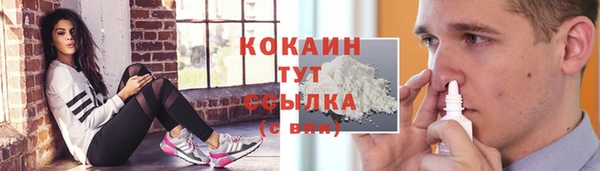мяу мяу мука Покачи