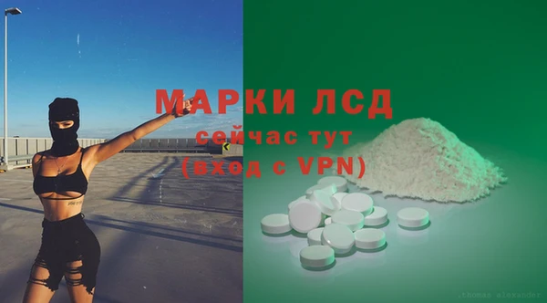 ГАЛЛЮЦИНОГЕННЫЕ ГРИБЫ Покровск