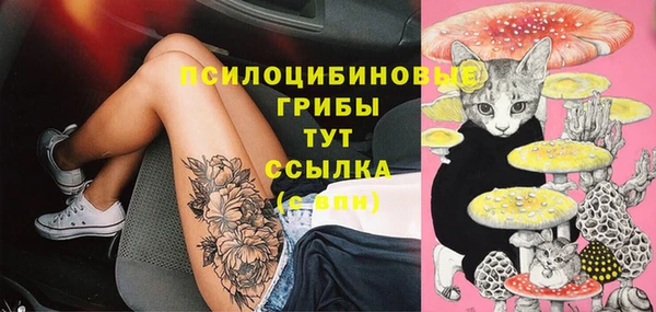 MDMA Premium VHQ Карпинск