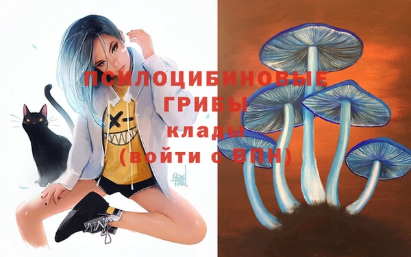 MDMA Premium VHQ Карпинск