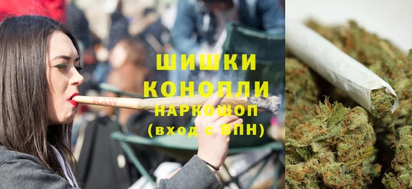 винт Касимов