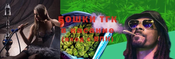 винт Касимов