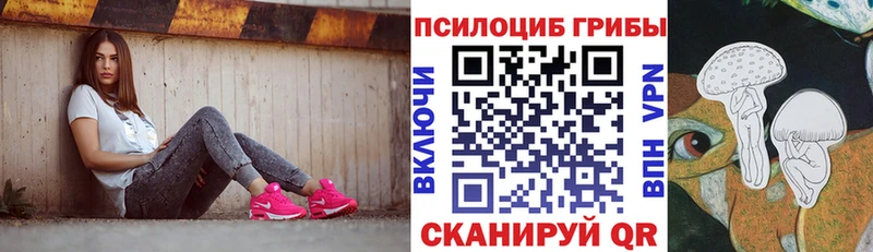 мега зеркало Краснозаводск Галлюциногенные грибы Magic Shrooms цена